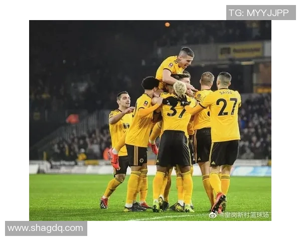 纽卡素主场迎战狼队期待精彩对决双方争夺英超积分榜重要位置